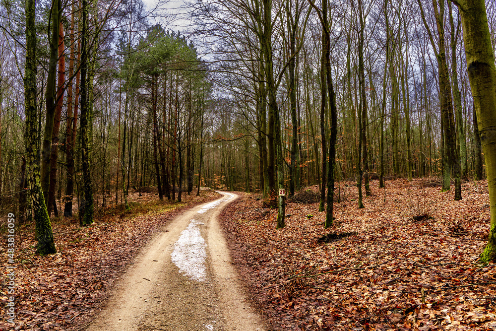 Fototapeta premium Polska