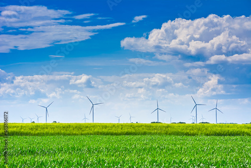 Wind turbines in the field