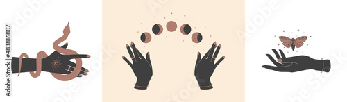 Magic hands with celestial mystical symbols. Spiritual boho logo, design elements with butterfly moth, snake and moon phases. Black silhouette of woman arms isolated on white. Vector illustration
