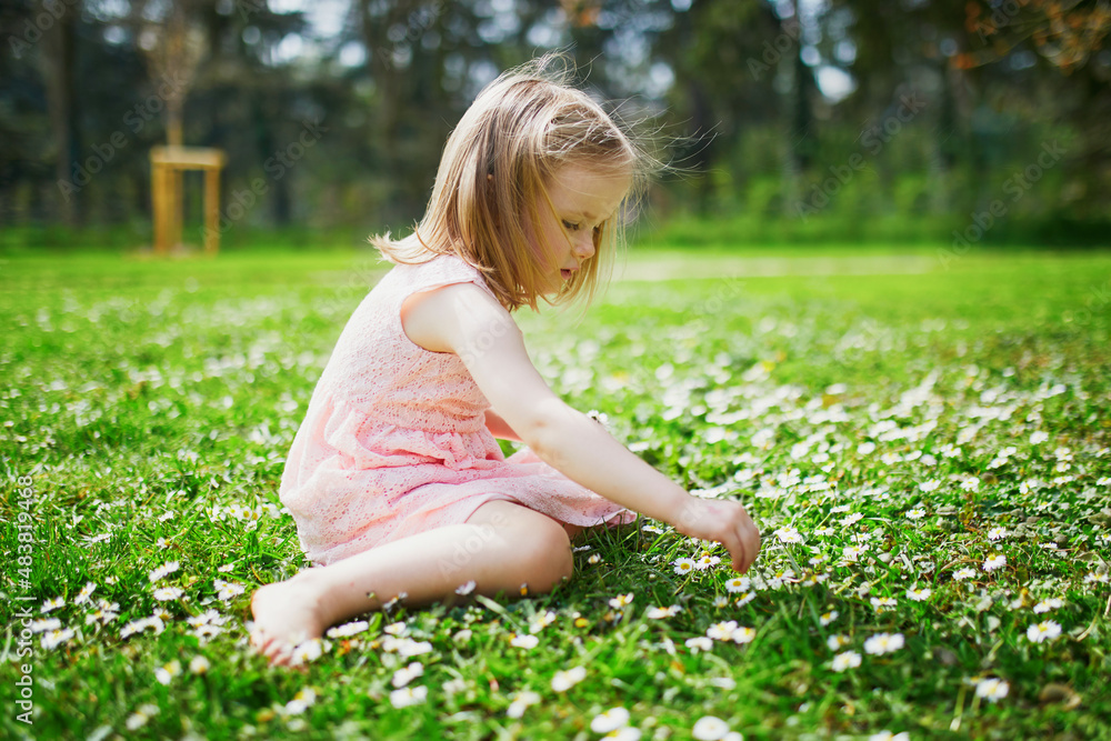 three year old girl in pink dress gathering camomiles and enjoying sunny spring day in Park of Sceaux near Paris, France three year old girl in pink dress gathering camomiles and enjoying sunny spring day in Park of Sceaux near Paris, France
