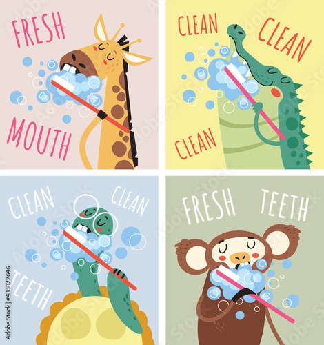 Animals clean teeth cards posters isolated set. Vector flat graphic design cartoon illustration