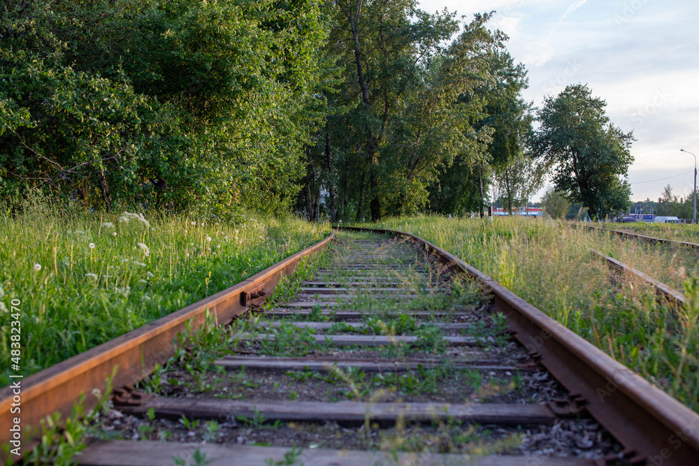 Obraz premium Rusty old railway tracks, unused. Green grass and trees grow all around. Close-up of rusty iron rails and wooden sleepers. Horizontal photo.