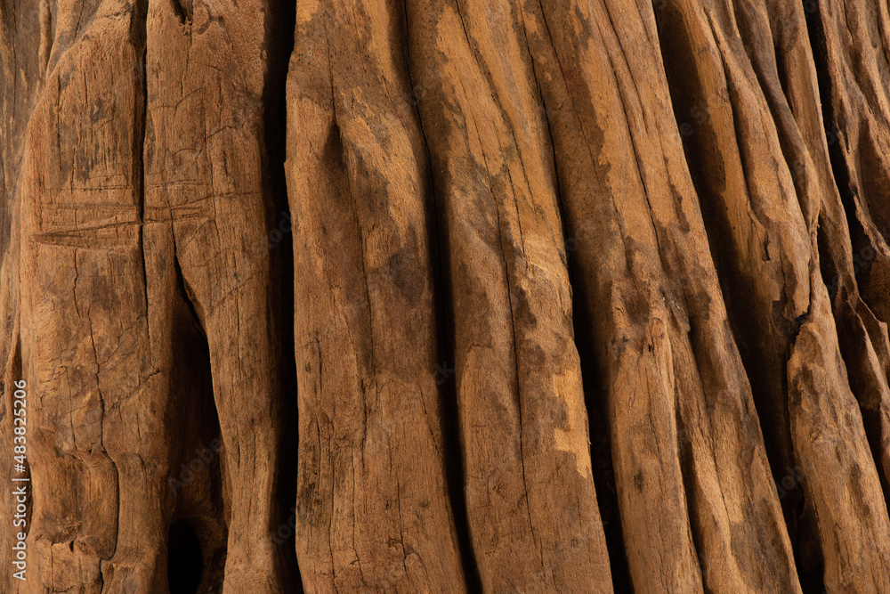 Fototapeta premium Texture and surface an old plank wood background.