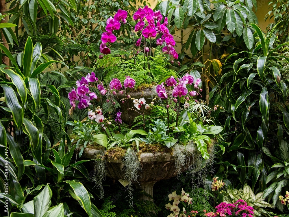 Purple orchids in a stone vase