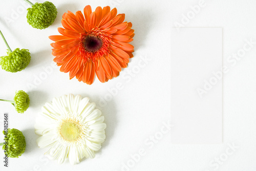 Mockup menu card with gerbera leaves1 photo