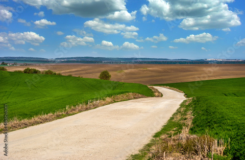 green winter wheat, dirty road at spring plowded field relief hilly landscape...