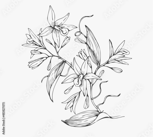 Trendy wedding flowers for logo or decorations. Hand drawn line wedding decoraton, elegant leaves for invitation save the date card. Botanical rustic trendy greenery