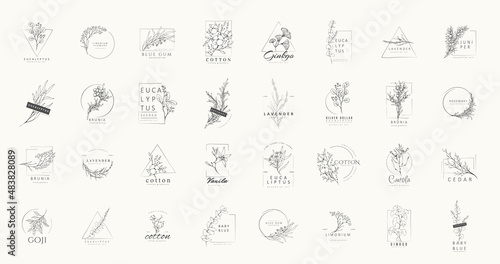 Floral logo and branch. Hand drawn wedding herb, plant and monogram with elegant leaves for invitation save the date card design. Botanical rustic trendy greenery