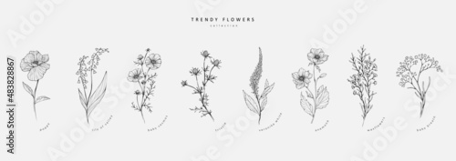 Fényképezés Trendy floral branch and minimalist flowers for logo or decorations