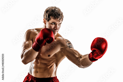 Portrait of muscular boxer who training and practicing uppercut in red gloves on white background. © zamuruev