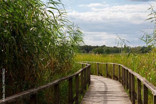 Boardwalk above the water at Lake Tisza, Hungary, surrounded by green reeds. Curvy walkway in nature at tourist destination