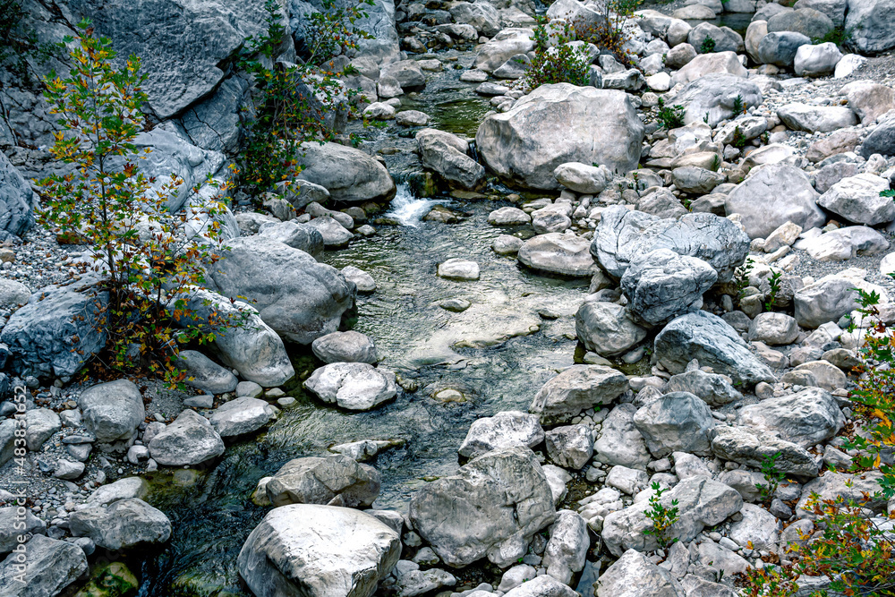 wooded mountain canyon with a stream in a rocky bed, top view wooded mountain canyon with a stream in a rocky bed, top view