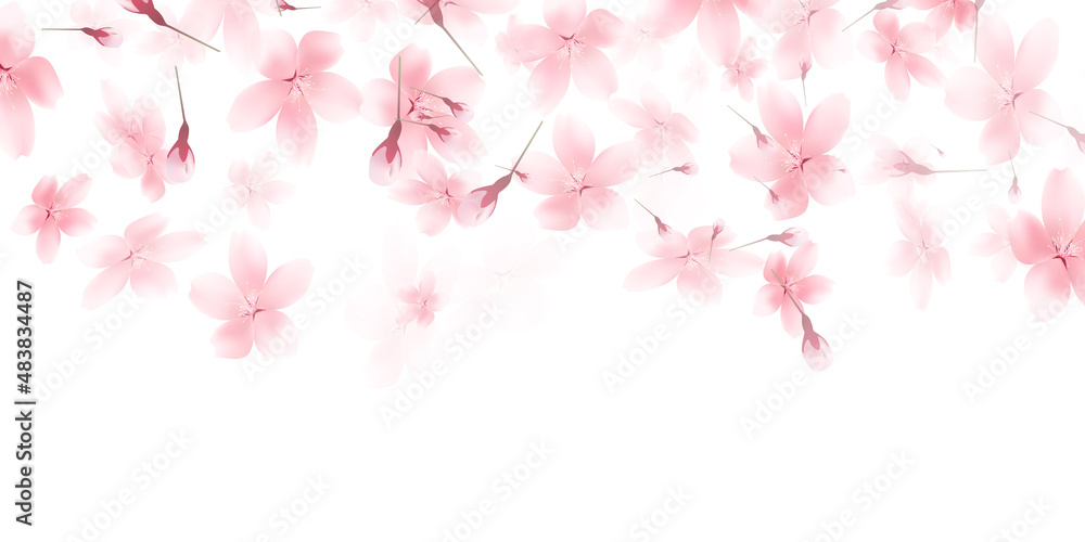 桜　春　花　背景

