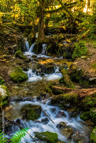 Waterfall