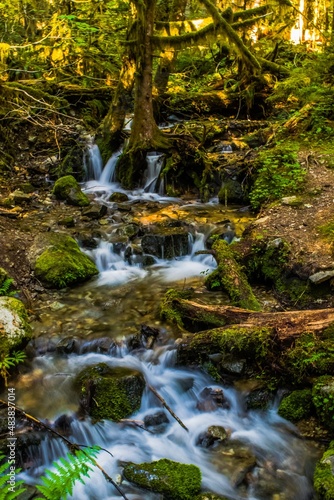 Fototapeta Naklejka Na Ścianę i Meble -  Waterfall