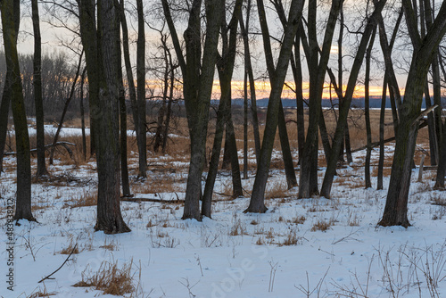 minnesota river valley refuge winter dusk in eagan photo