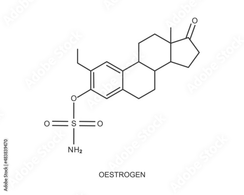 Oestrogen icon. Estrogen chemical molecular structure. Female steroid sex hormone sign isolated on white background. Hormone replacement therapy concept. Vector graphic illustration.