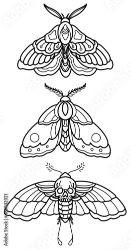 3 Moth Insects Tattoo Style Editable Outline line art SVG
