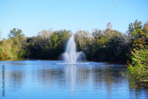 Wallpaper Mural Beautiful pond in a florida community	 Torontodigital.ca