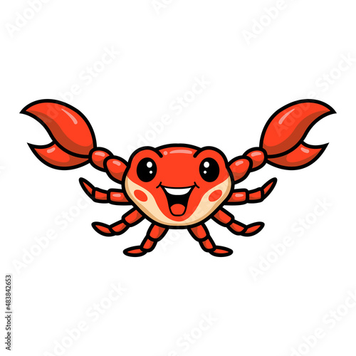 Cute little orange crab cartoon