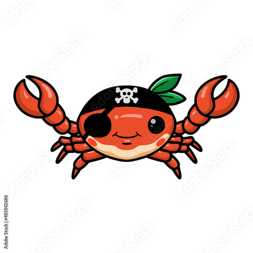 Cute little pirate crab cartoon