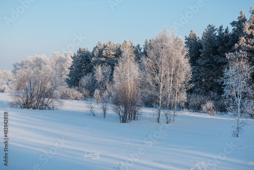 Winter landscape. Russian nature. Trees in the snow. Lots of snow all around. Winter season. Frost and sun.