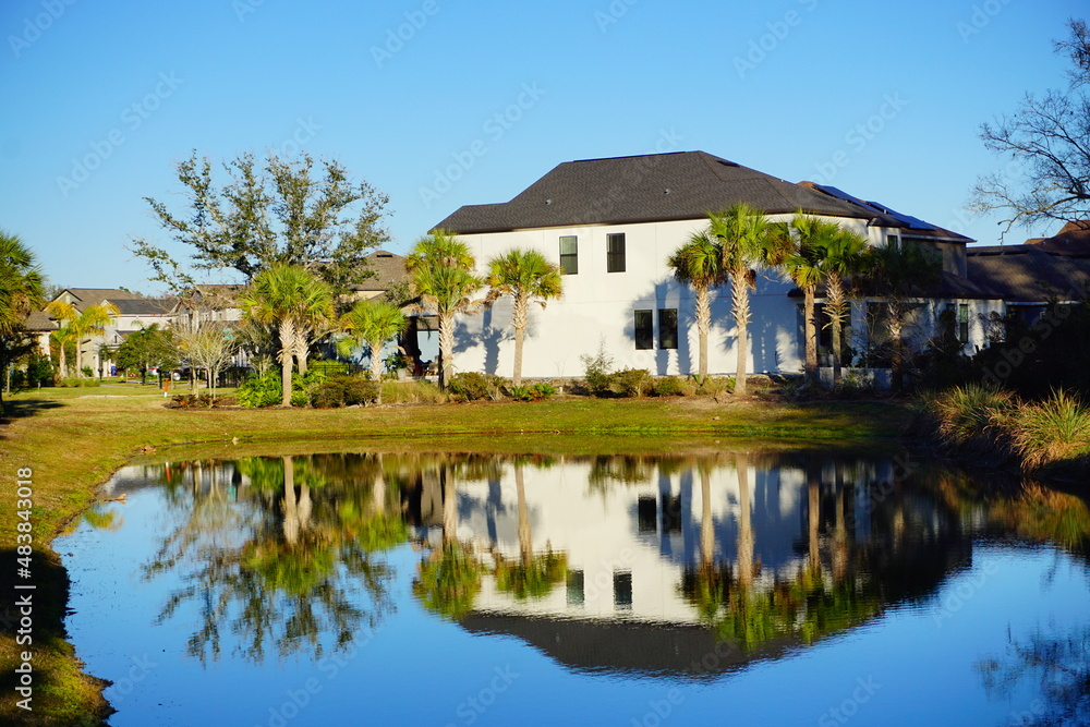 Beautiful pond in a florida community Beautiful pond in a florida community