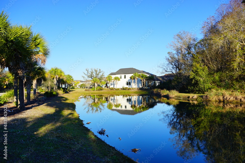 Beautiful pond in a florida community	