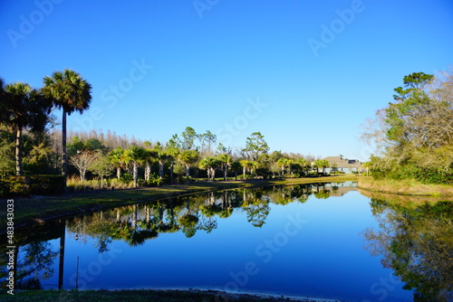 Beautiful pond in a florida community 