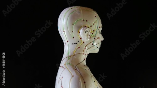 Mannequin rotation with acupuncture points and meridians.