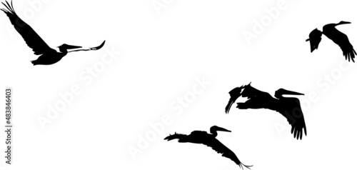 Oiseaux migrateurs volant dans le ciel- vecteur noir avec fond transparent à personnaliser ou utiliser tel quel. 