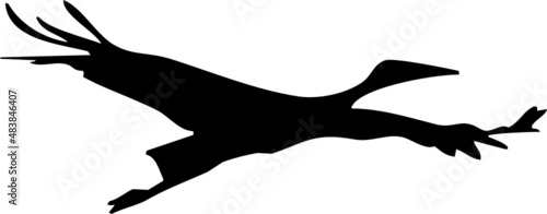 Vecteur silhouette d'oiseau en vol. 