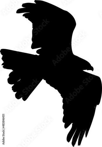 Rapace de type aigle, vautour, faucon volant dans le ciel- vecteur noir avec fond transparent à personnaliser ou utiliser tel quel. 