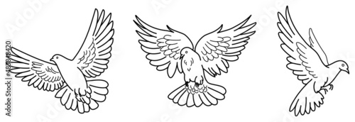 3 religious peace doves outline black and white line art svg vector