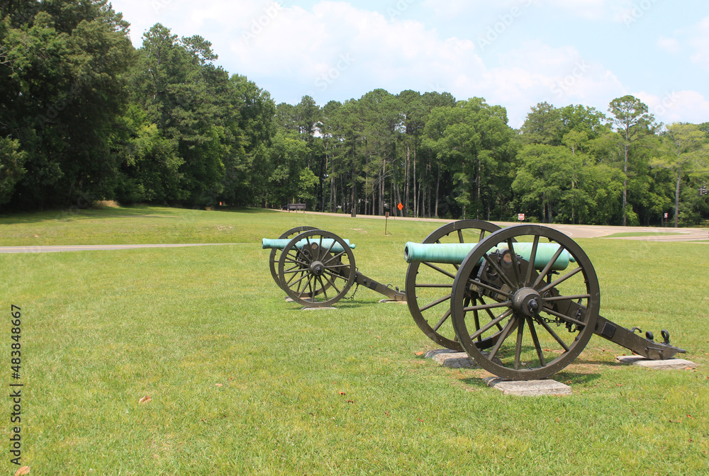 Two cannons on the Chickamauga battlefield in summer