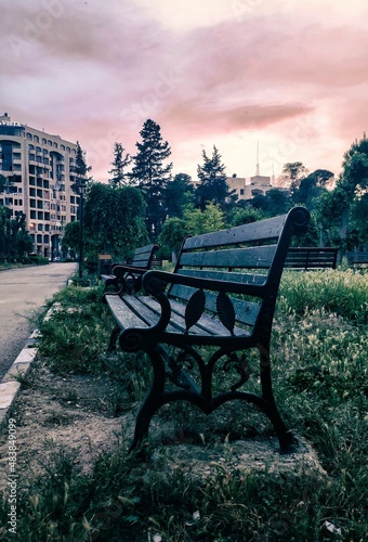 bench in the park