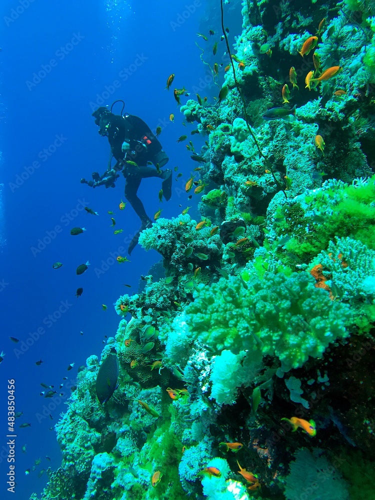 Fotografie scuba diver and coral