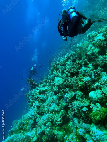 scuba diver and reef