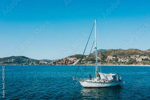 velero © francisco