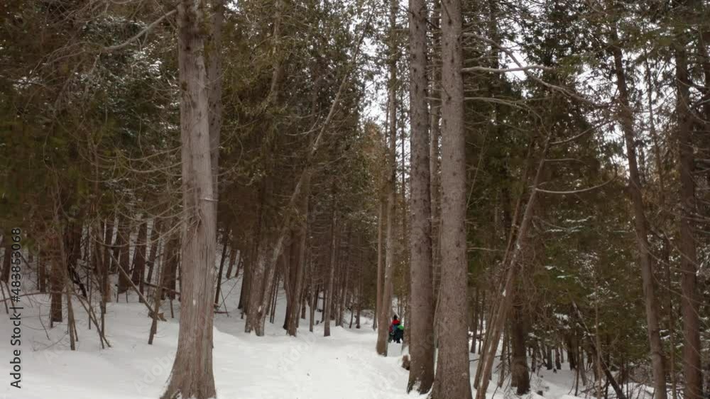 Drone view traveling through a winter forest while two children hike through the snow. Drone view traveling through a winter forest while two children hike through the snow.