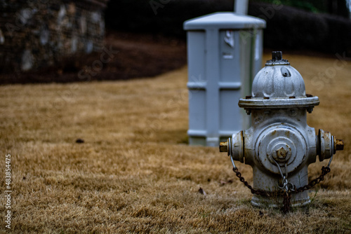 fire hydrant in grass