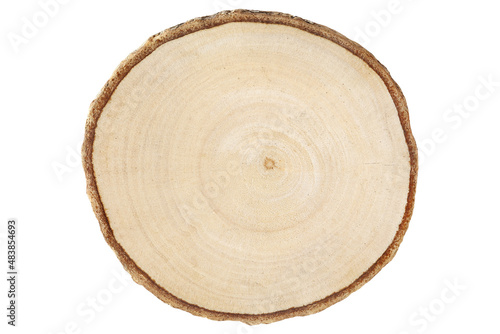 Textured surface with rings and cracks. Neutral brown background made of hardwood from the forest,  texture isolated on white background with clipping path include for design usage purpose.