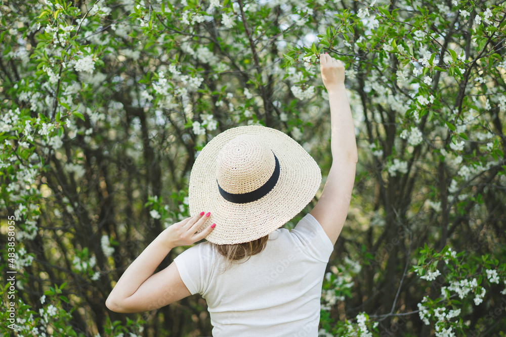 Young beautiful woman in a hat among flowering trees. Spring natural park or garden, flowering trees. Back view. Spring concept
