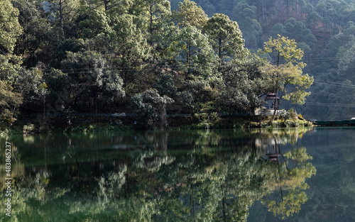 View of Reflection of dense trees falling on water of a lake at the foothills of a mountain 