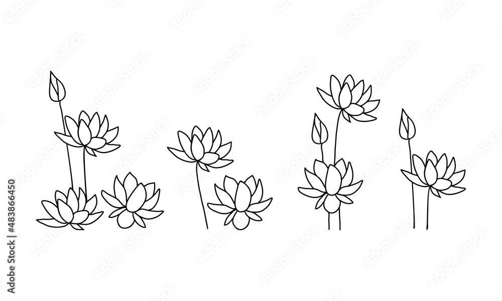Set. Lotus flowers in doodle style. Drawn with an outline on a white background. Vector illustration.