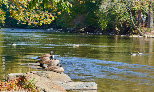 Canvastavla Cherokee NC