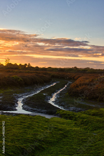 Exploring the Carpinteria bird refuge in California