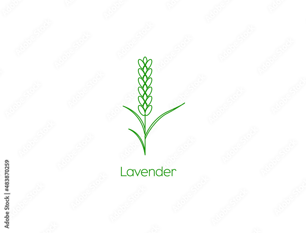 Lavender icon line art vector illustration Lavender icon line art vector illustration