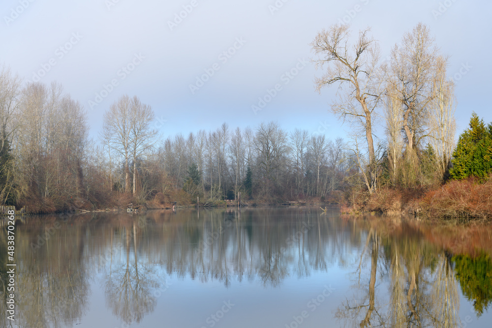 A foggy morning on the Snohomish River in Everett, Washignton.  The barren trees reflect in the calm water with fog in the sky