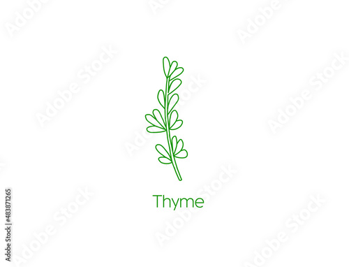thyme herb icon vector illustration 